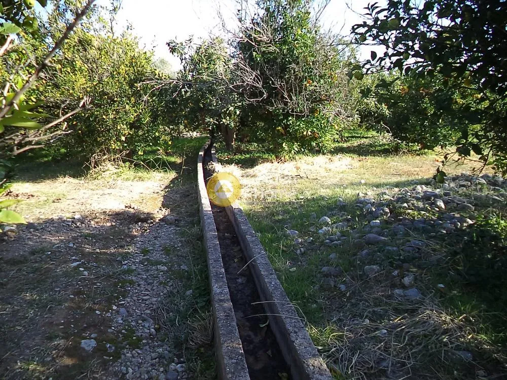 Αγροτεμάχιο 15300τ.μ.  - 3