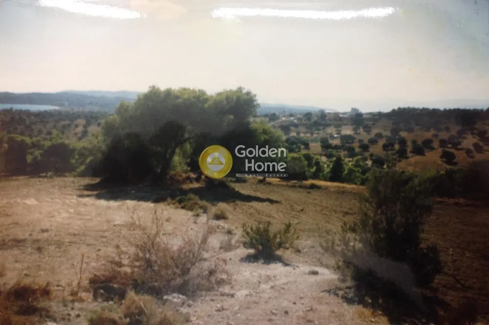 Land Parcel 4470m²  - 3