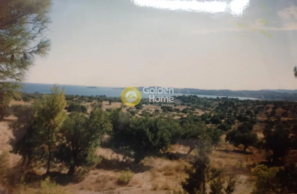Land Parcel 4470m²  - 5