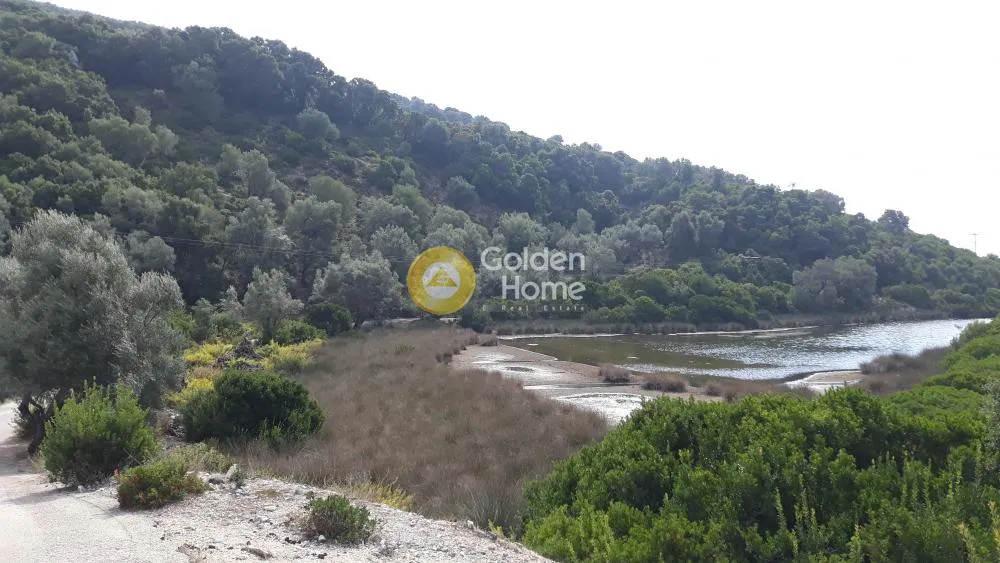 Αγροτεμάχιο 6606τ.μ.  - 4