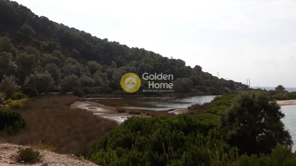Αγροτεμάχιο 6606τ.μ.  - 5