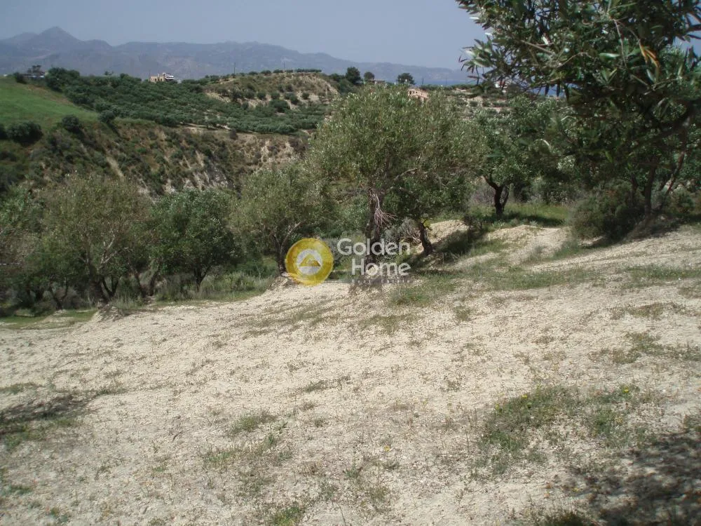 Αγροτεμάχιο 4941τ.μ.  - 5