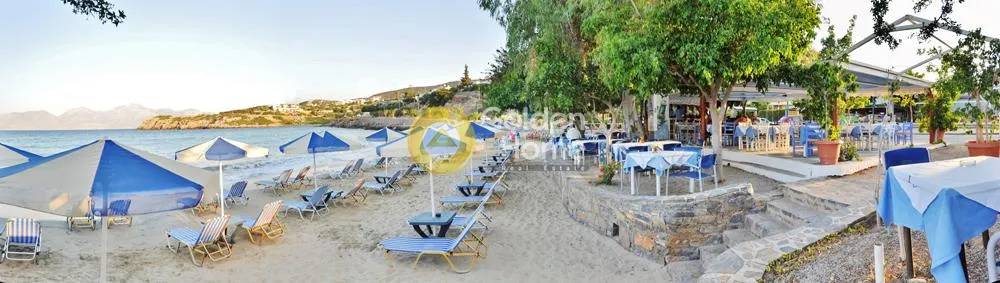Άλλο.. 1500τ.μ.  - 2