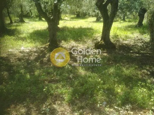 Αγροτεμάχιο 580τ.μ.  - 2
