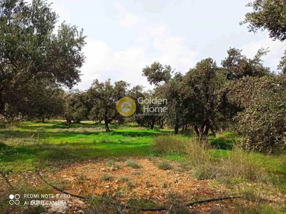 Land Parcel 1000m²  - 2