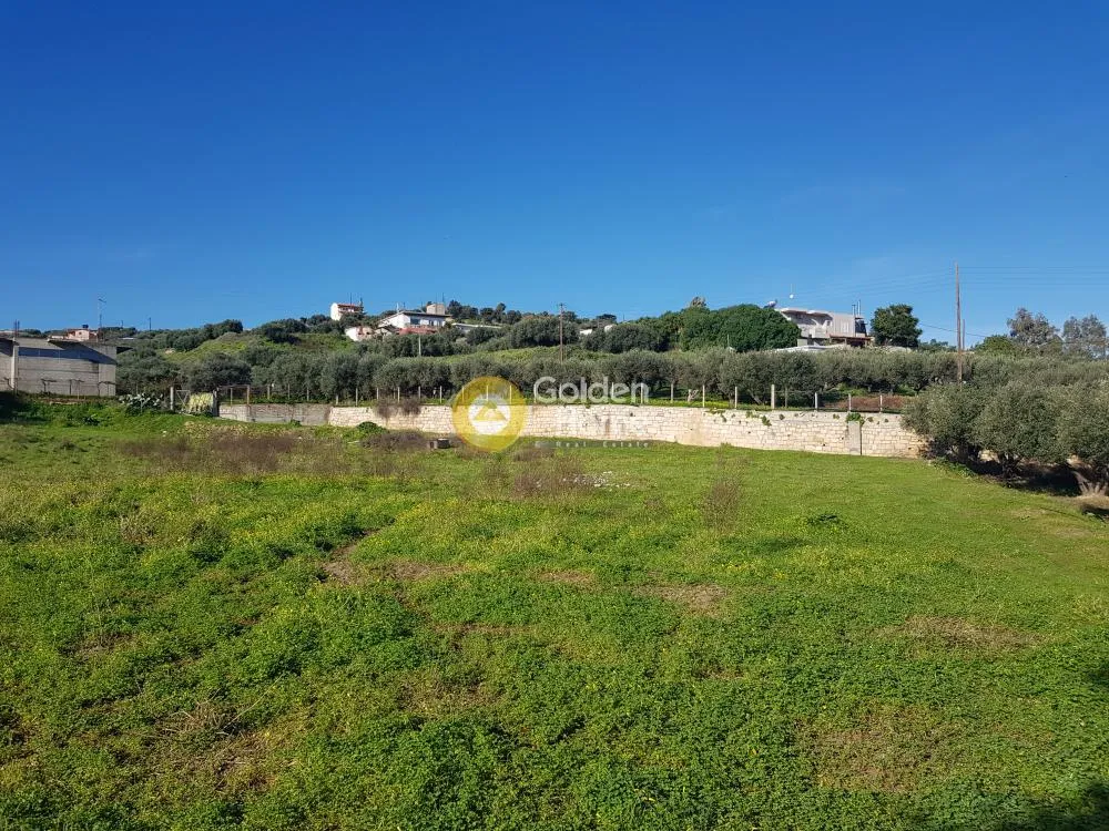 Αγροτεμάχιο 2000τ.μ.  - 3