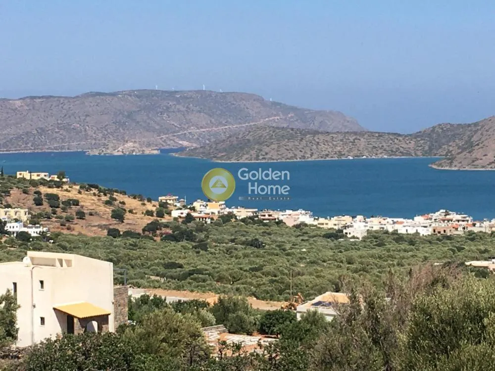 Αγροτεμάχιο 7810τ.μ.  - 3