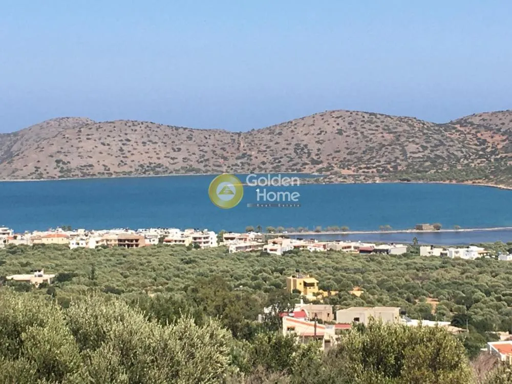 Αγροτεμάχιο 7810τ.μ.  - 4