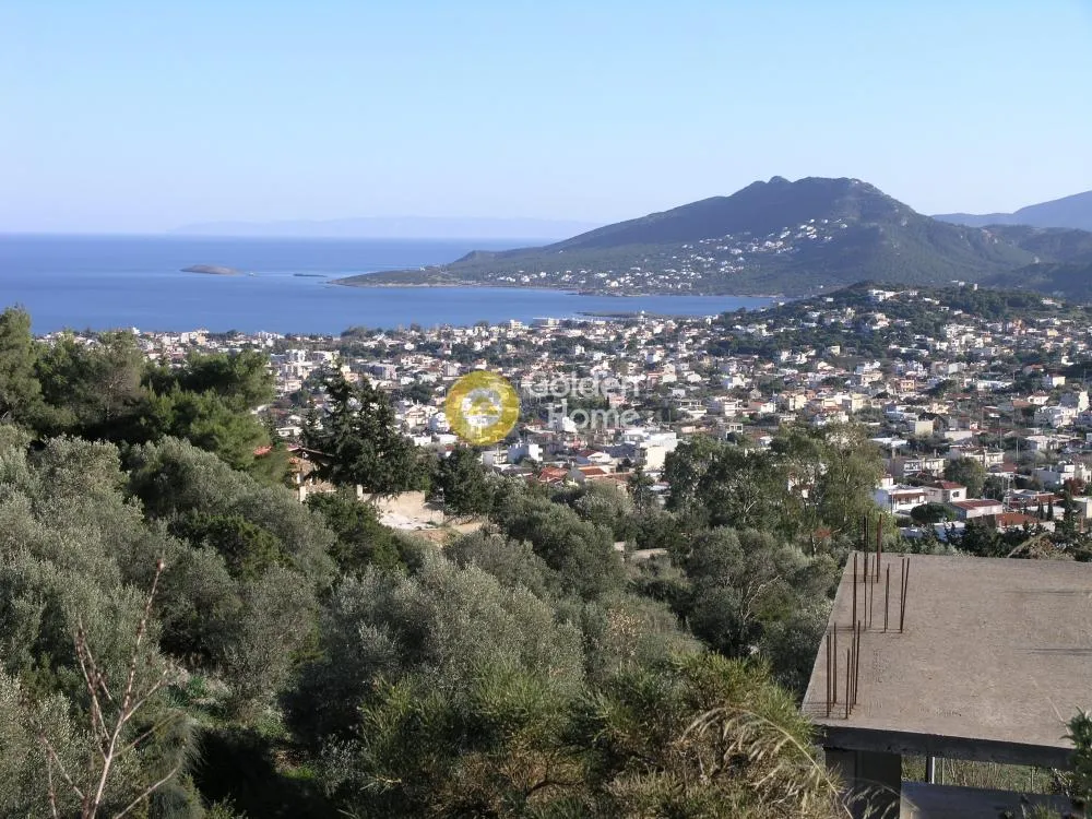 Detached house 353m²  - 2