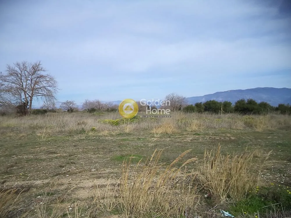 Αγροτεμάχιο 64700τ.μ.  - 2