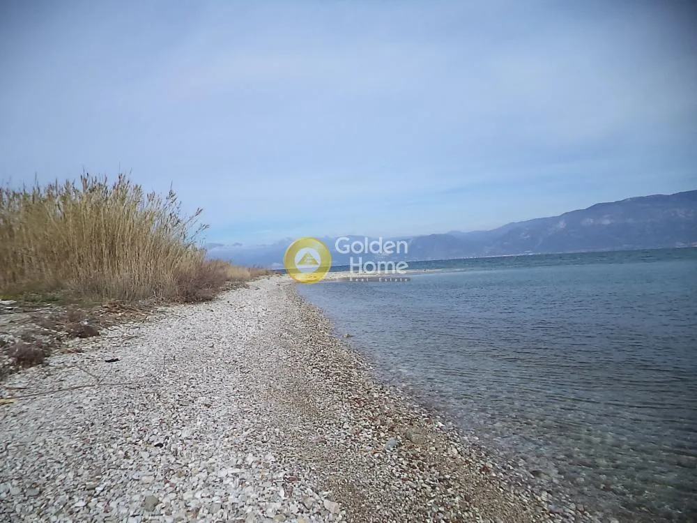 Αγροτεμάχιο 64700τ.μ.  - 3