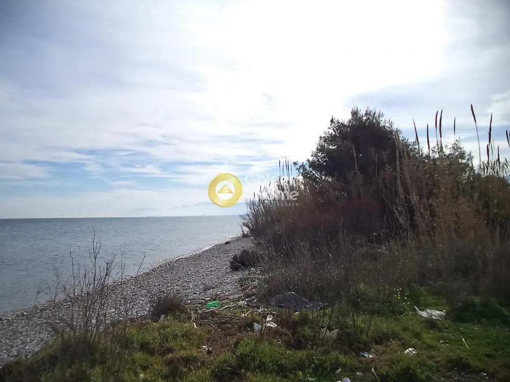 Αγροτεμάχιο 64700τ.μ.  - 5