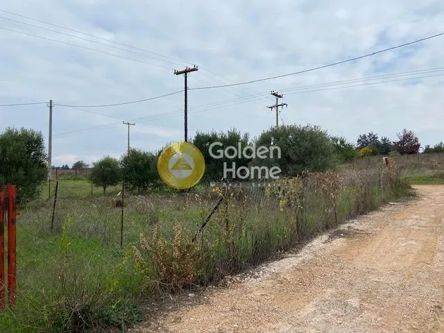 Αγροτεμάχιο 285τ.μ.  - 5