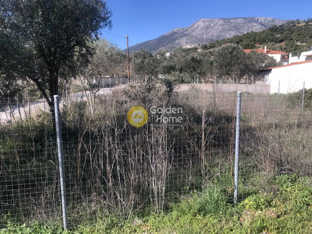 Αγροτεμάχιο 248τ.μ.  - 2