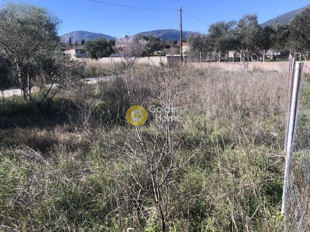 Αγροτεμάχιο 248τ.μ.  - 4