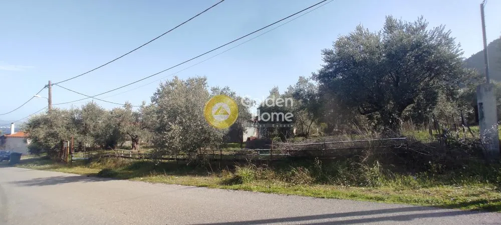 Αγροτεμάχιο 1148τ.μ.  - 2