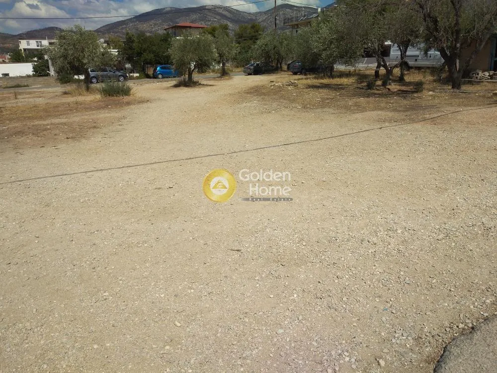 Land Parcel 194m²  - 4