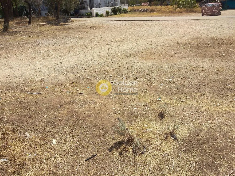 Land Parcel 194m²  - 5