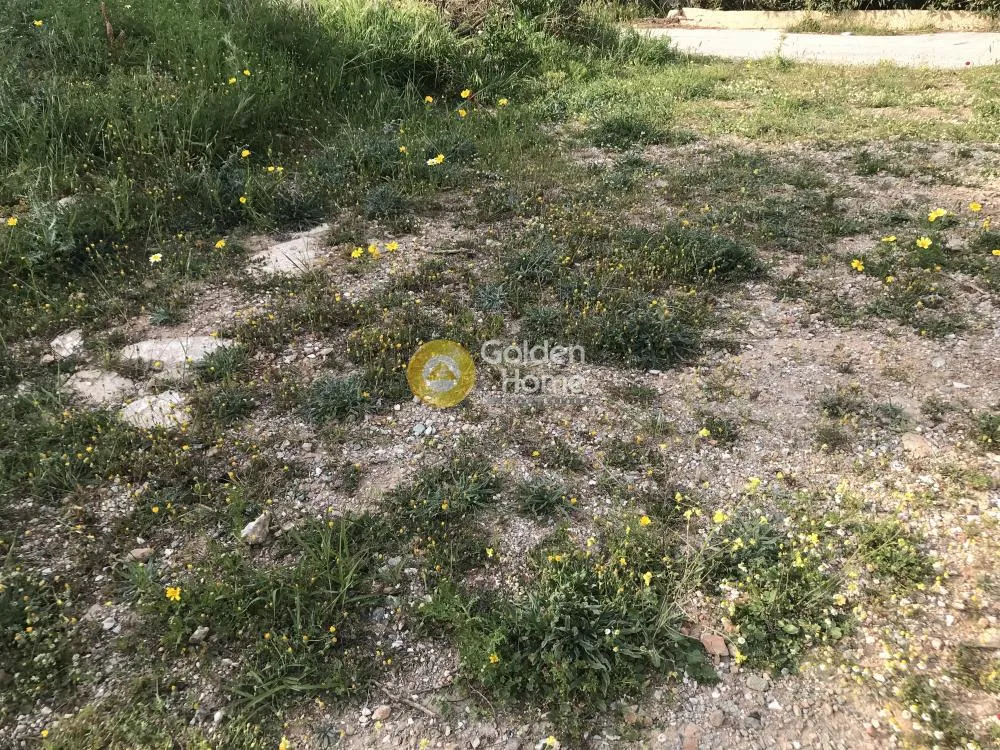 Plot 456m²  - 5