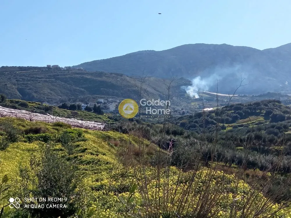 Αγροτεμάχιο 5000τ.μ.  - 5