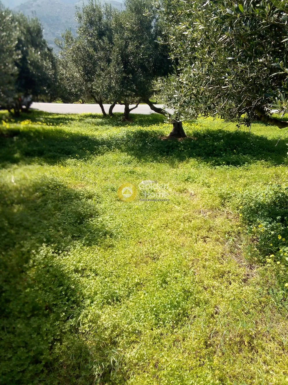 Land Parcel 750m²  - 2