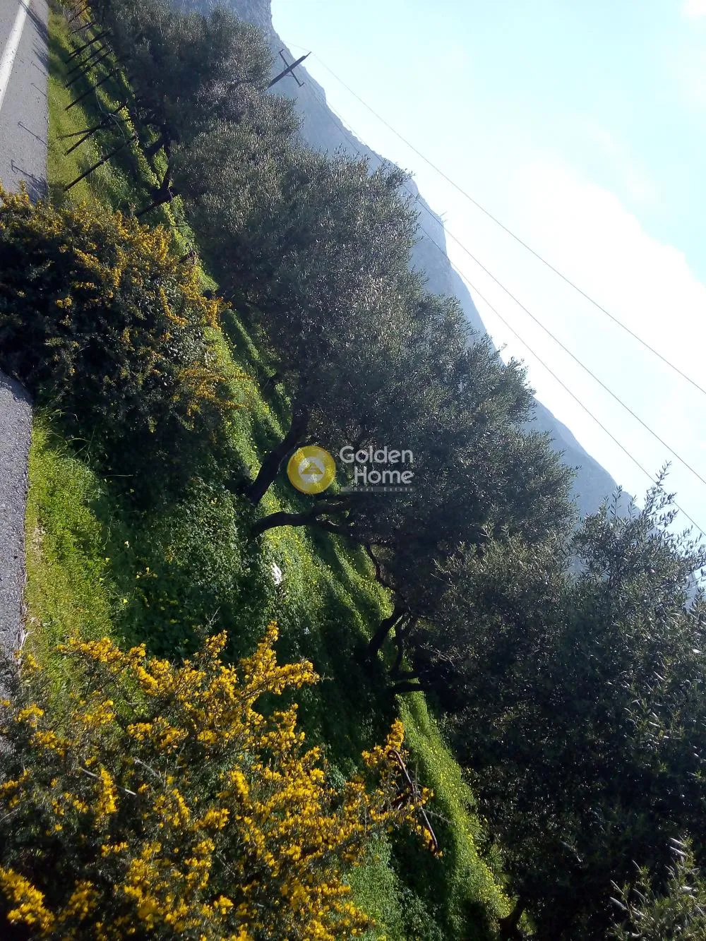 Land Parcel 750m²  - 3