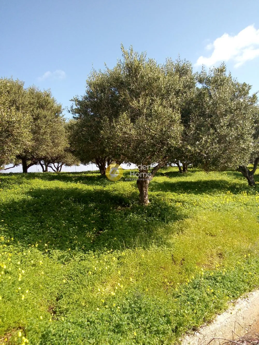 Land Parcel 750m²  - 4
