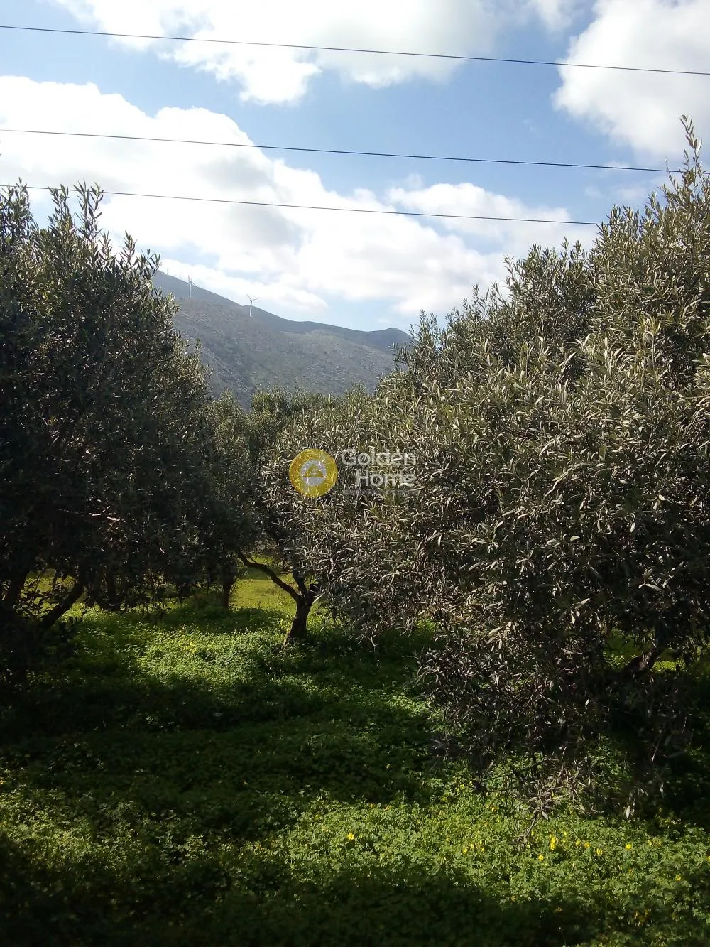 Land Parcel 750m²  - 5