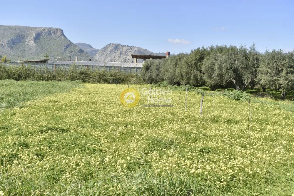 Land Parcel 710m²  - 2