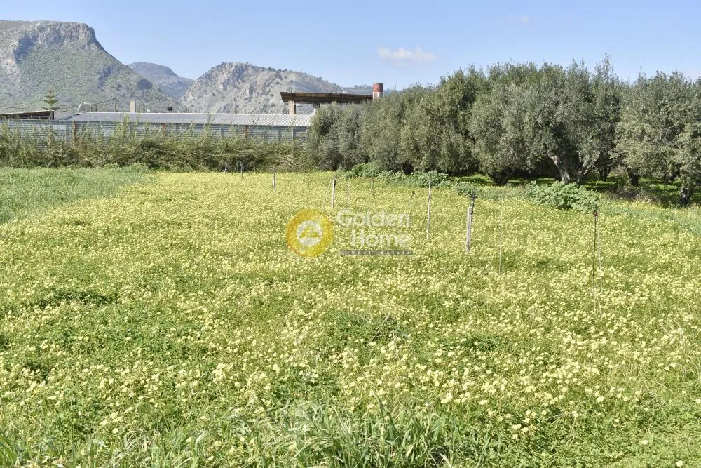 Land Parcel 710m²  - 3