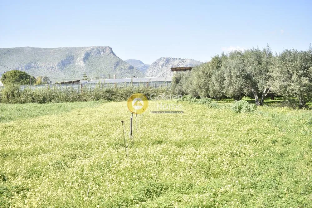 Land Parcel 710m²  - 5