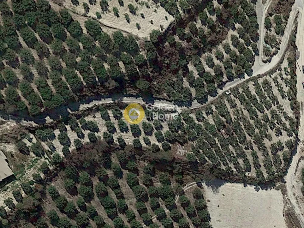Αγροτεμάχιο 4687τ.μ.  - 5
