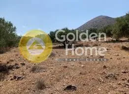 Αγροτεμάχιο 337τ.μ.  - 2