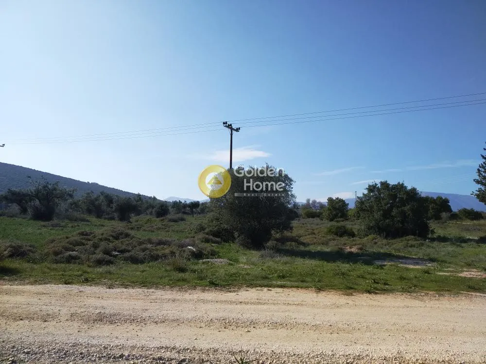 Αγροτεμάχιο 4650τ.μ.  - 2