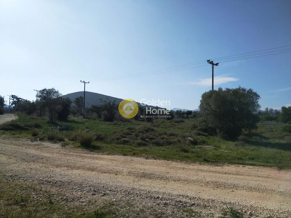 Αγροτεμάχιο 4650τ.μ.  - 3
