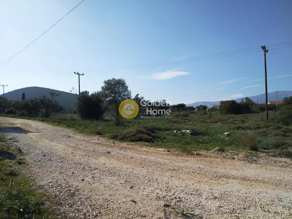 Αγροτεμάχιο 4650τ.μ.  - 4