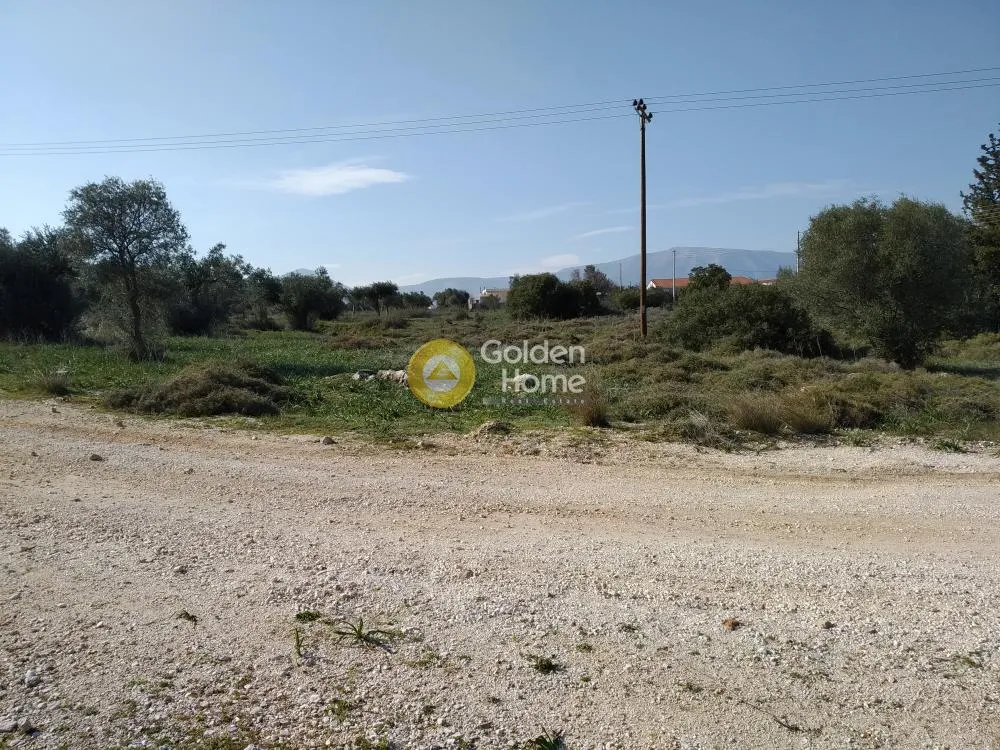 Αγροτεμάχιο 4650τ.μ.  - 5