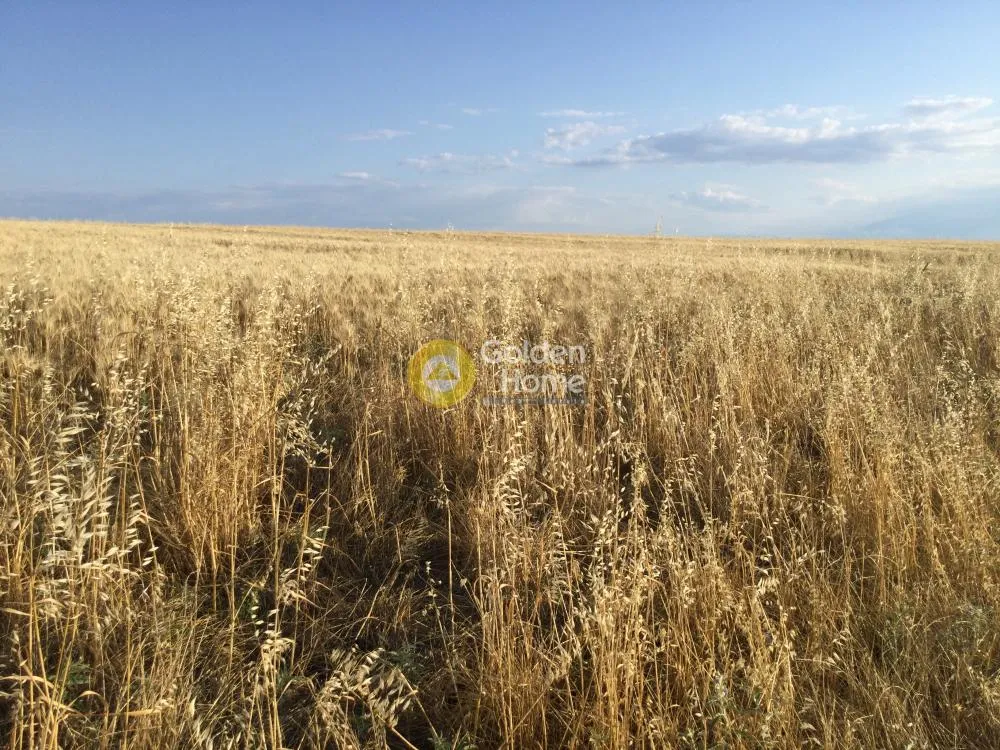 Αγροτεμάχιο 30000τ.μ.  - 5