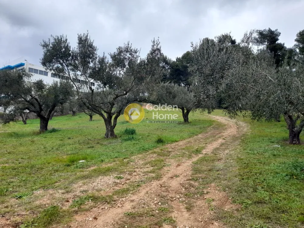 Άλλο.. 2300τ.μ.  - 3