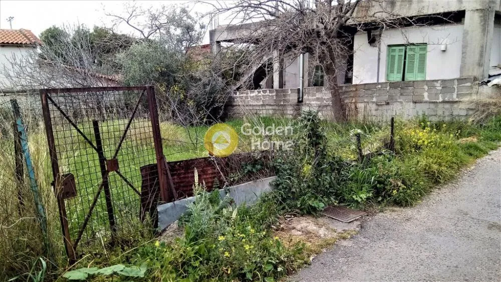 Αγροτεμάχιο 180τ.μ.  - 2