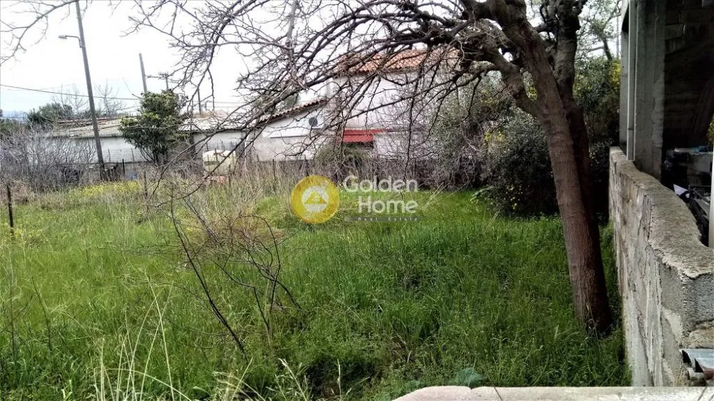Αγροτεμάχιο 180τ.μ.  - 3