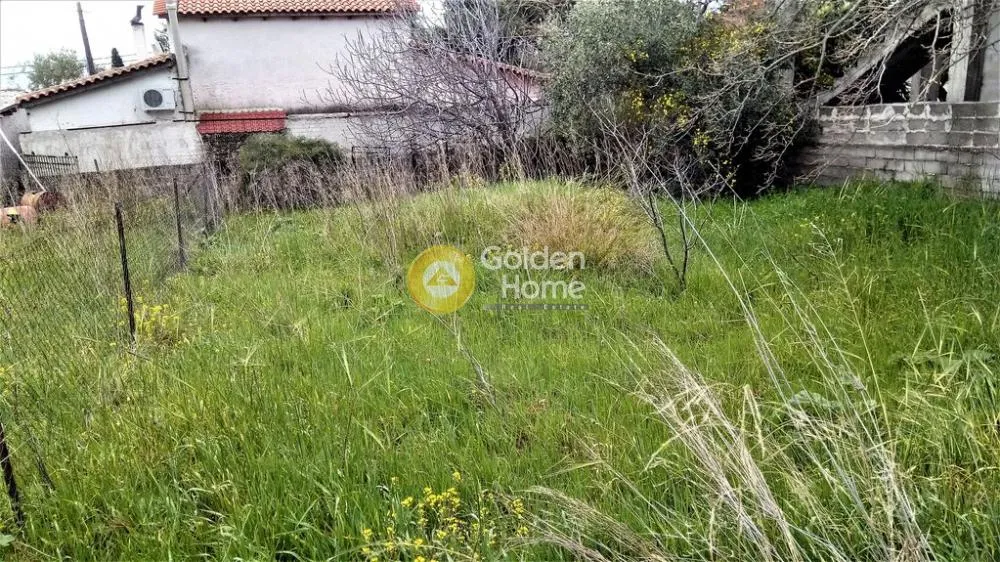 Αγροτεμάχιο 180τ.μ.  - 5