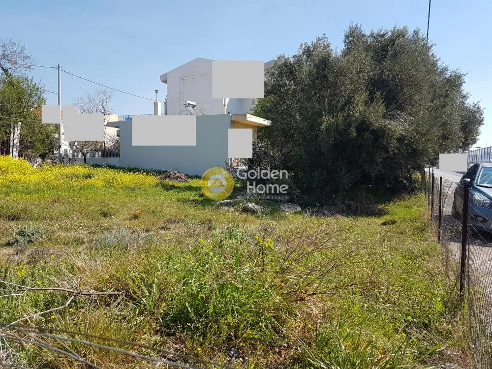 Other .. 290m²  - 3