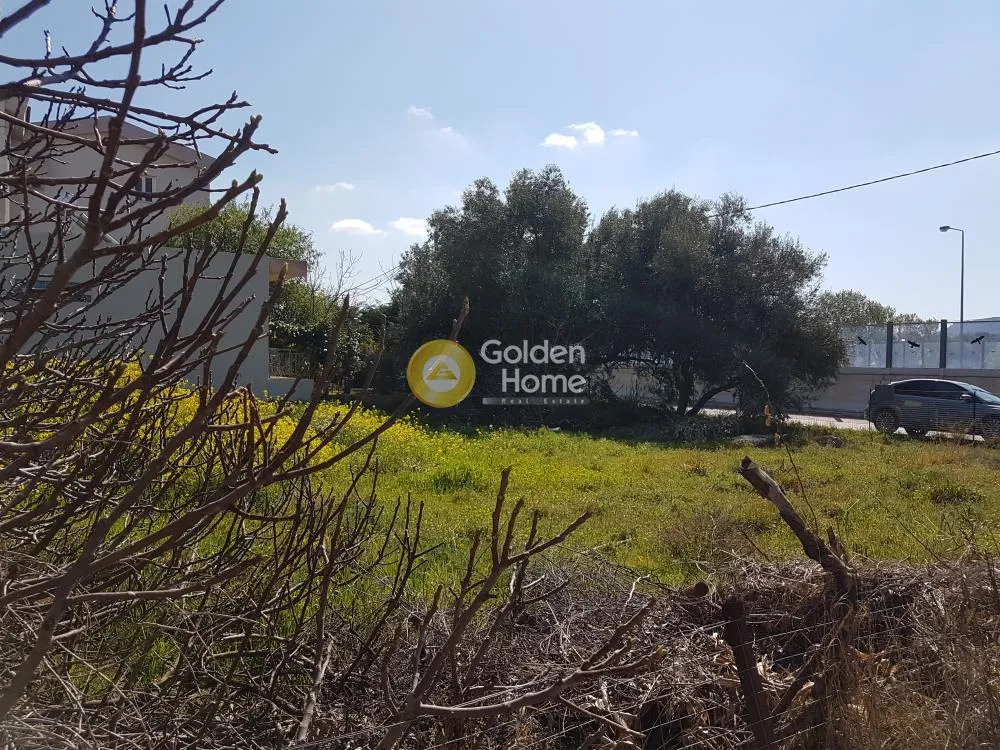 Άλλο.. 280τ.μ.  - 3