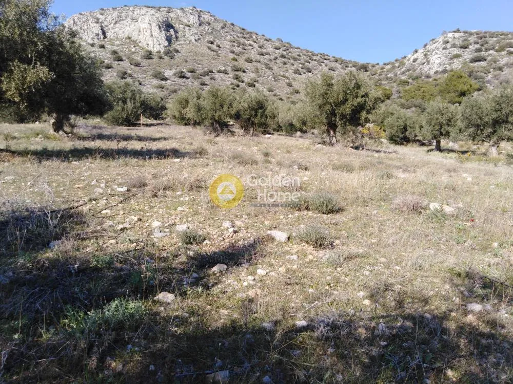 Αγροτεμάχιο 4700τ.μ.  - 2