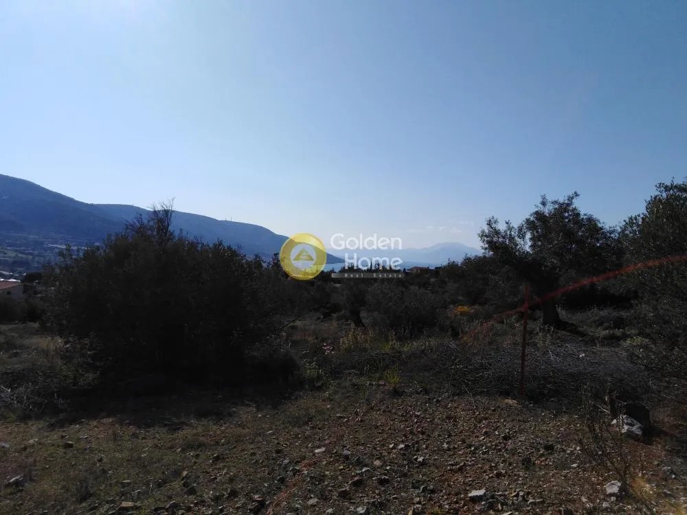Αγροτεμάχιο 4700τ.μ.  - 3