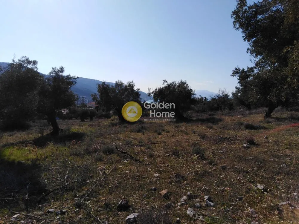 Αγροτεμάχιο 4700τ.μ.  - 4