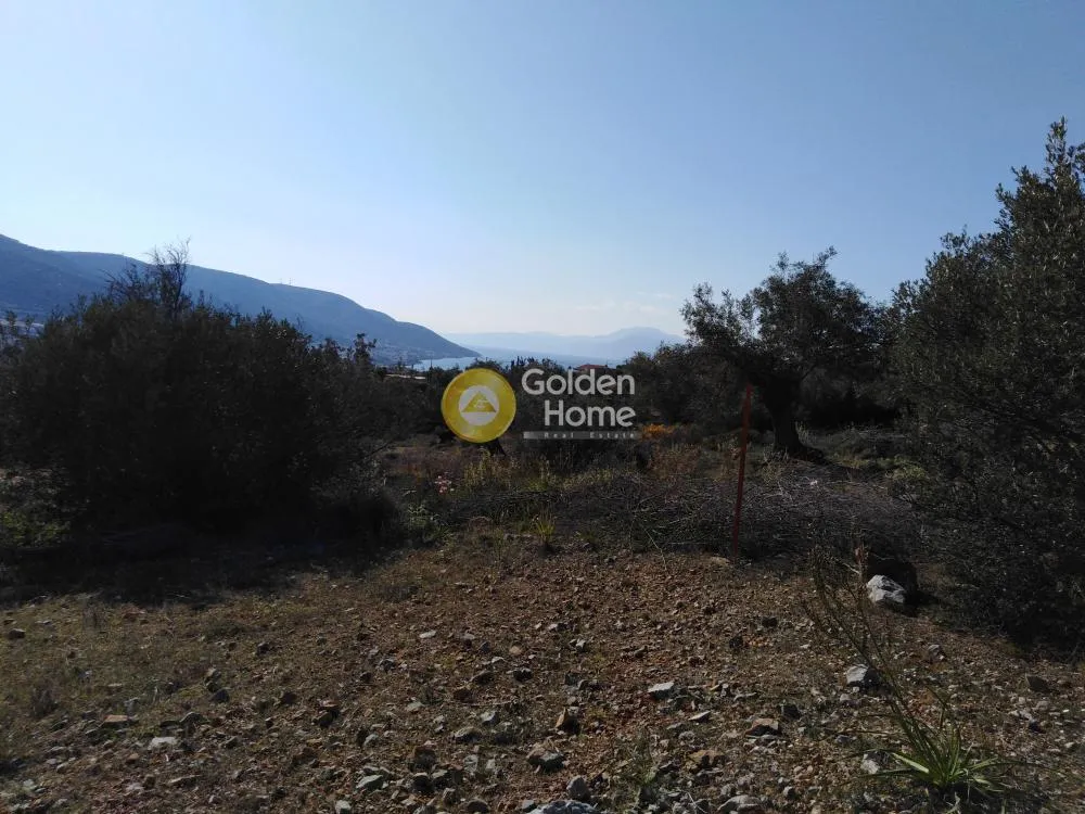 Αγροτεμάχιο 4700τ.μ.  - 5
