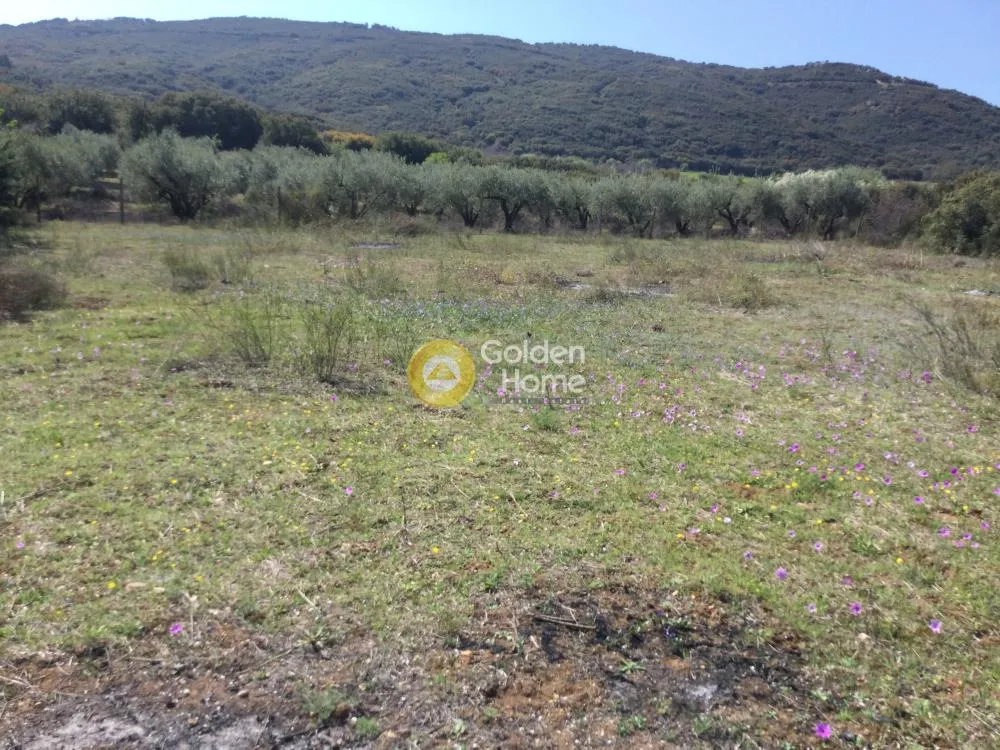 Αγροτεμάχιο 4687τ.μ.  - 5