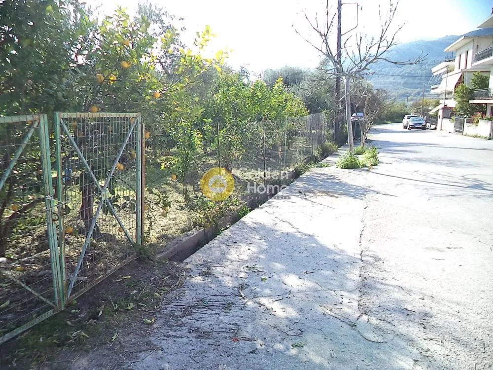 Αγροτεμάχιο 1071τ.μ.  - 3